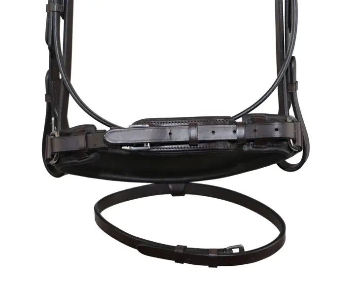 Bonn Crank Dressage Bridle with Flash