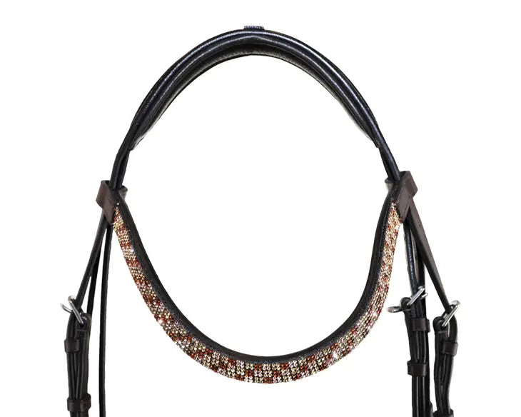 Bonn Crank Dressage Bridle with Flash