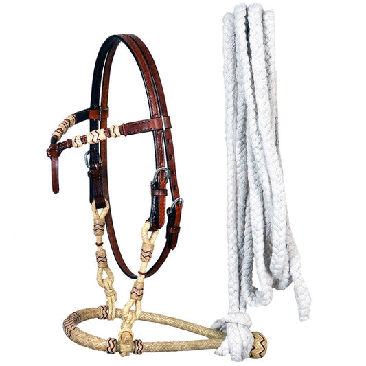 Bosal with Bridle