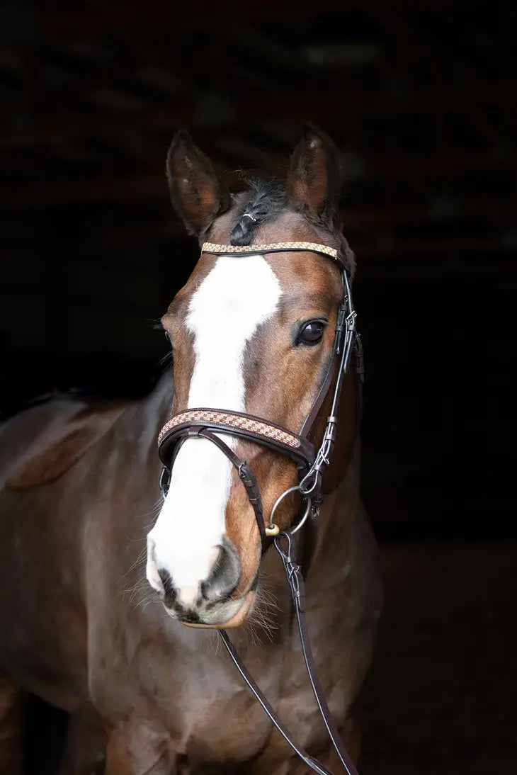 Bonn Crank Dressage Bridle with Flash