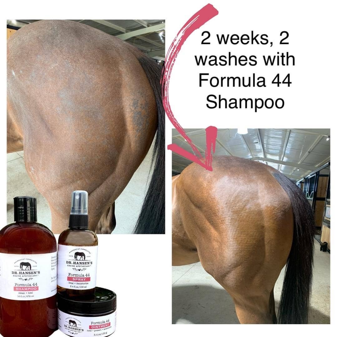 Formula 44 Shampoo
