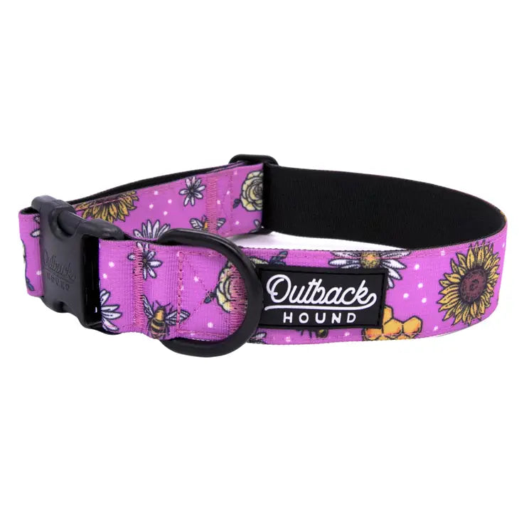 "Bees Knees" Trail Hound Dog Collar