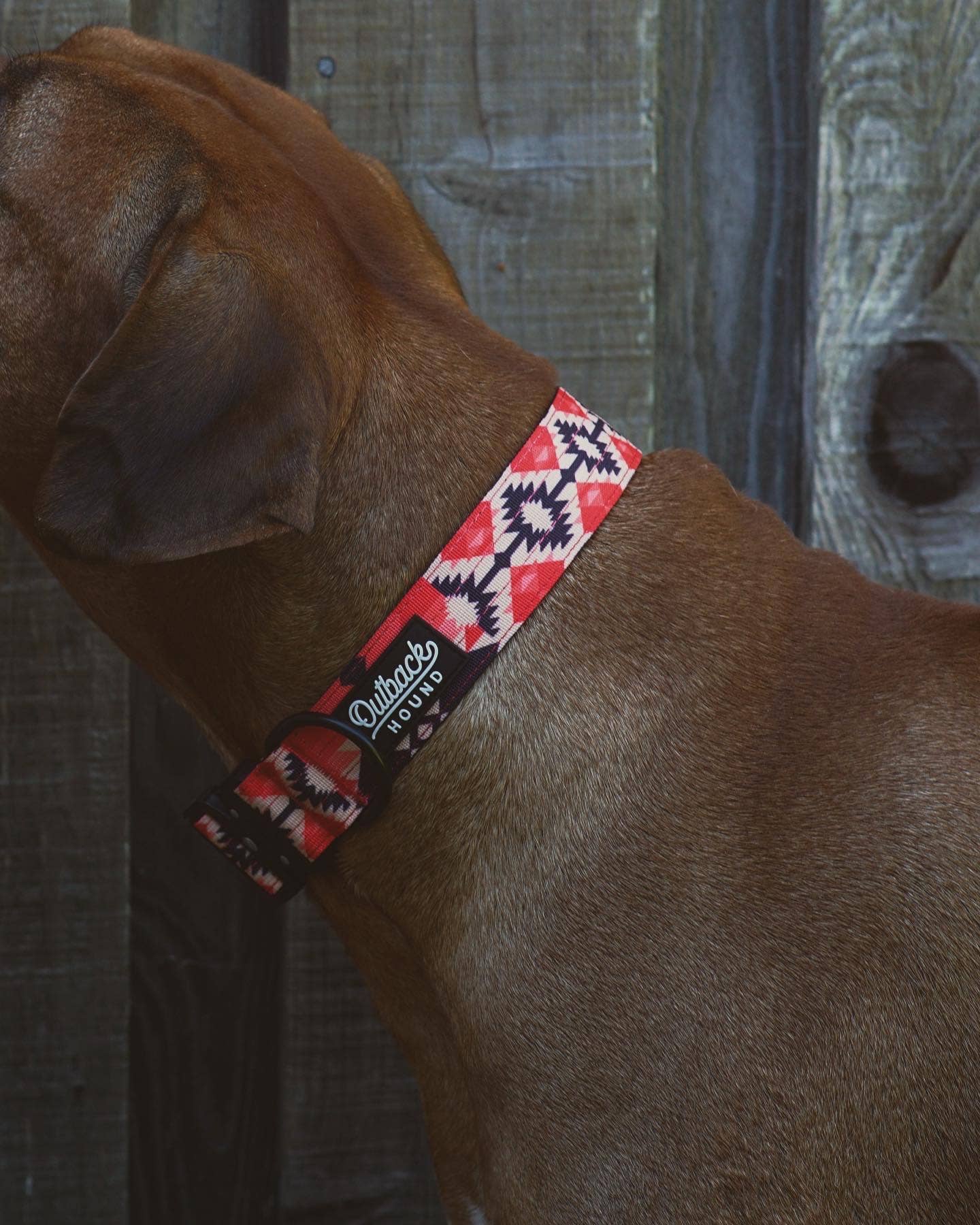 aztec trail hound dog collar