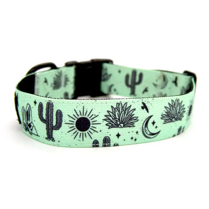 Agave Trail Hound Dog Collar