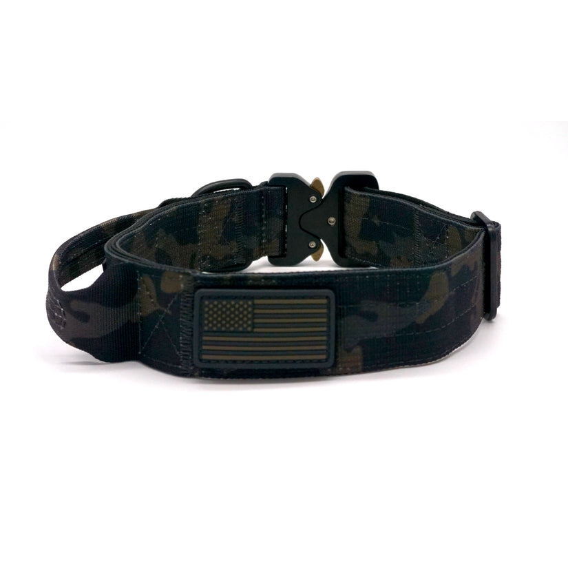 Camo Trail Hound Collar