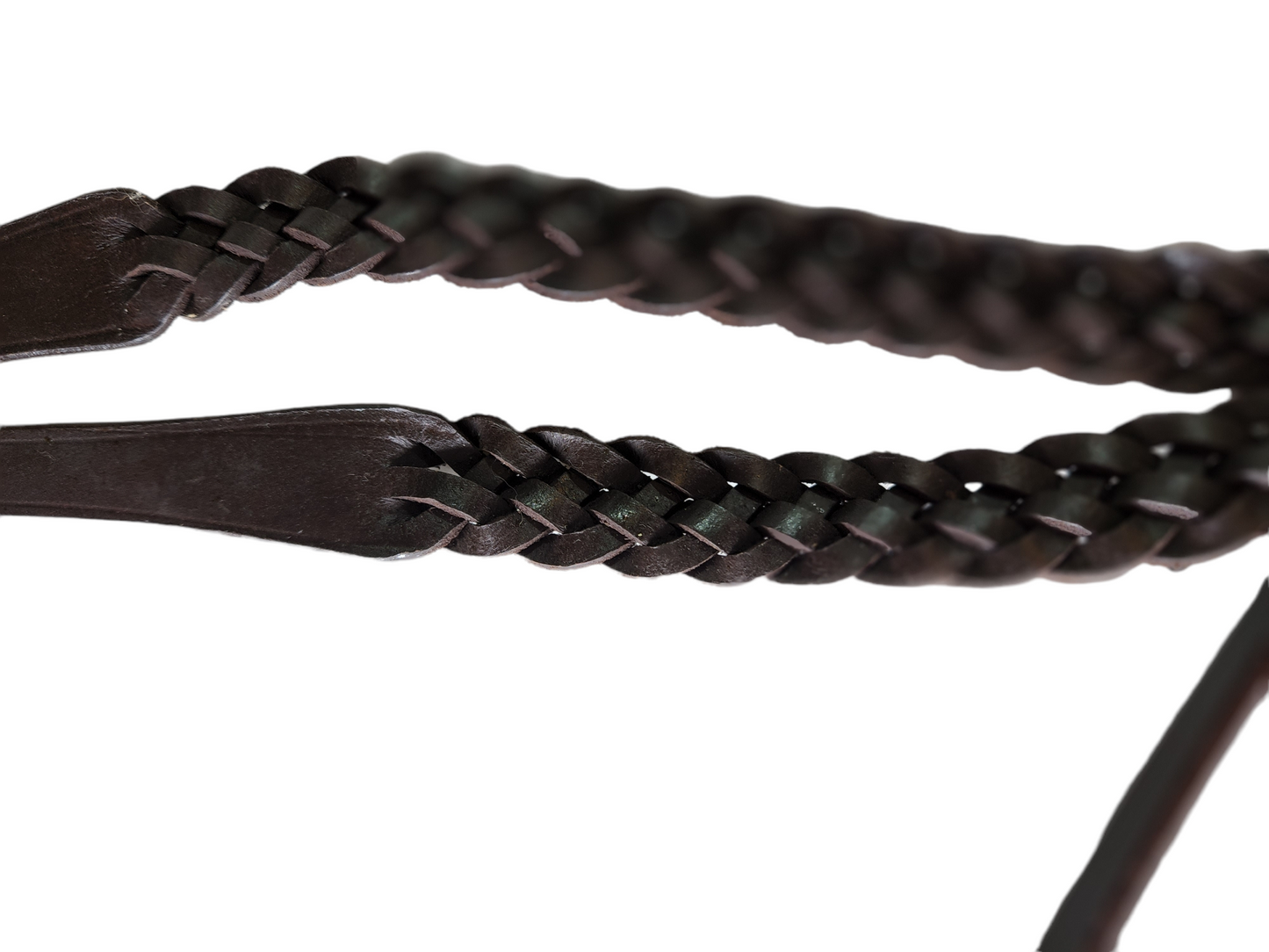 Silver Fox Leather Bridle with Braided Reins