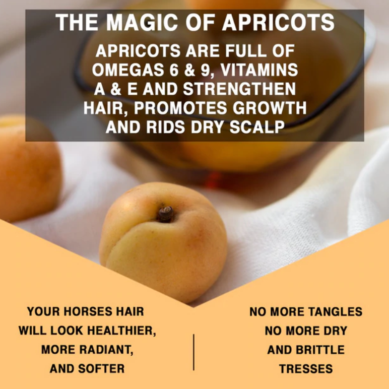 knotty horse apricot oil detangling treatment