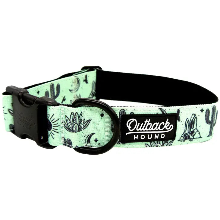 Agave Trail Hound Dog Collar