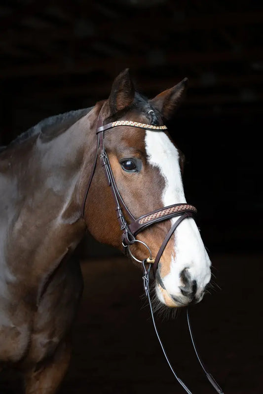 Bonn Crank Dressage Bridle with Flash