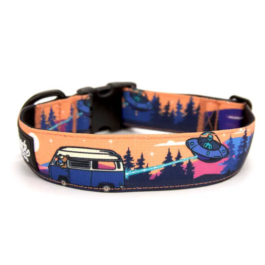 Out There Trail Hound Dog Collar
