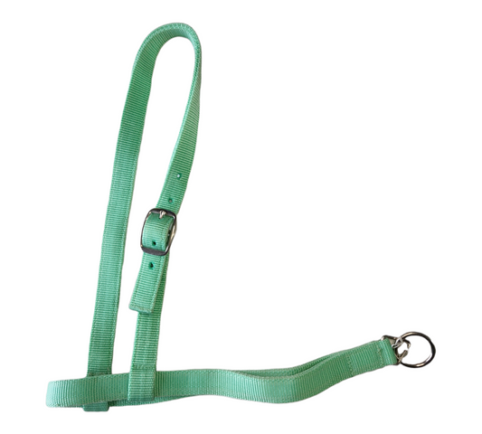 Nylon Noseband