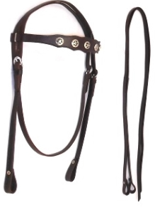 Matching Headstall & Reins